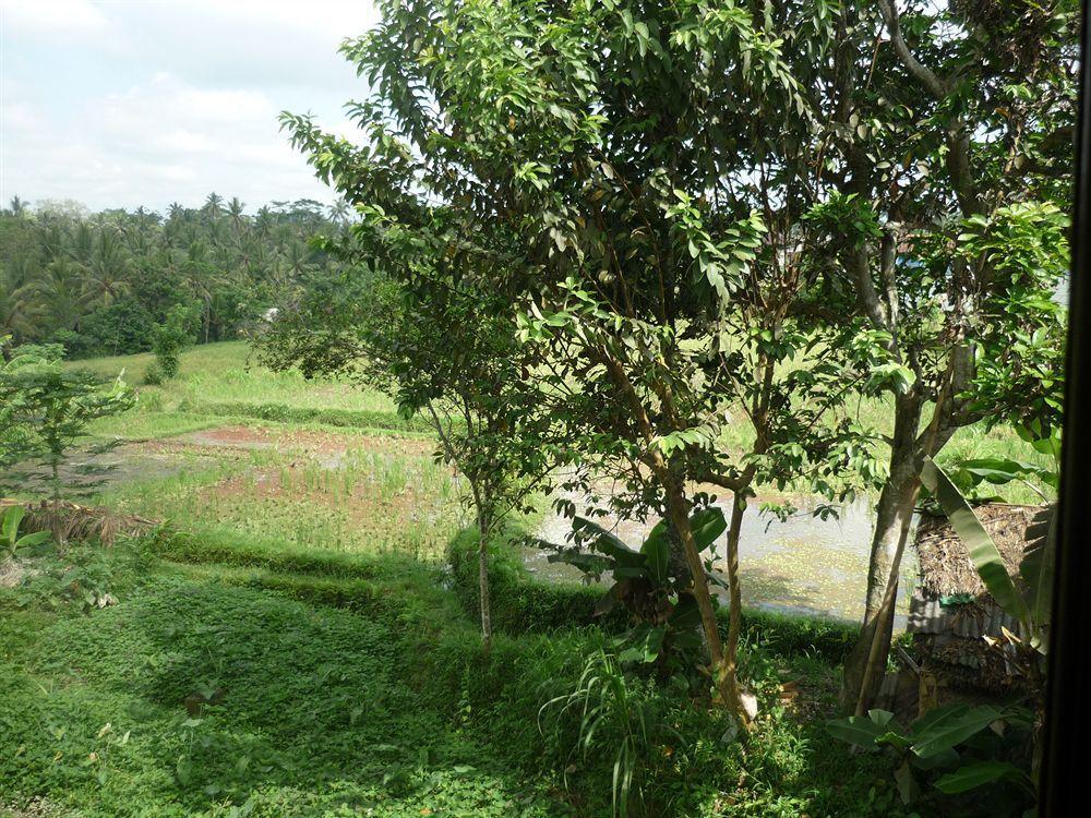 Kudos Guesthouse Ubud Екстериор снимка